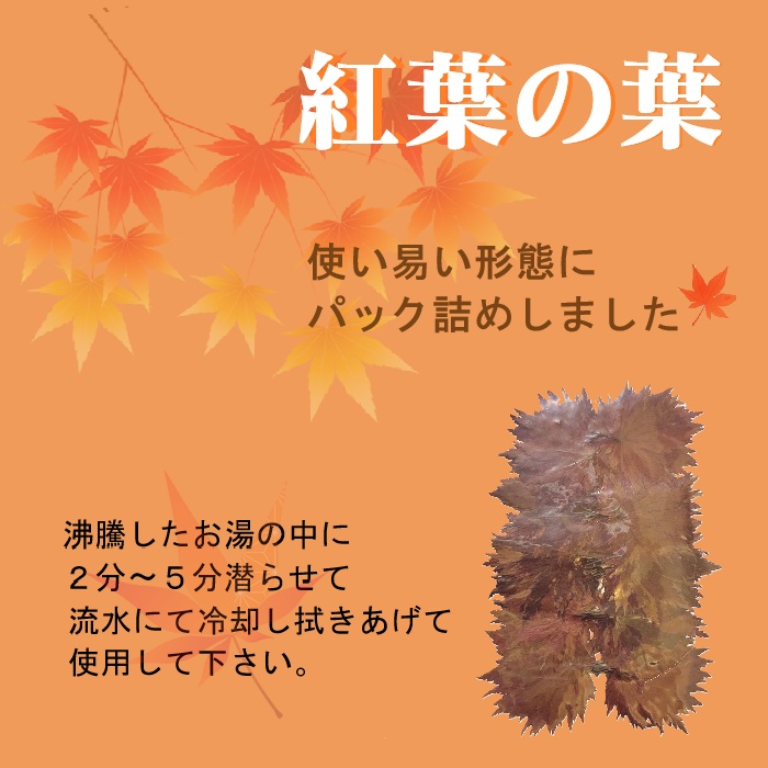 商品写真：干紅葉 赤100枚　季節商品